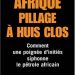 Afrique, pillage à huit clos - Xavier Harel