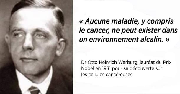 Dr otto heinrich warburg