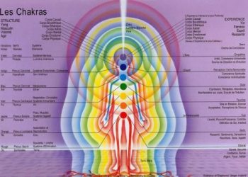 De zeven chakra's en de zeven subtiele lichamen van de mens