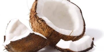 The virtues of coconut, exotic fruit by excellence
