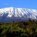 Mont Kilimandjaro (5 895 m)