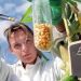 Gli OGM sterilizzeranno l'umanità dopo le generazioni di 3