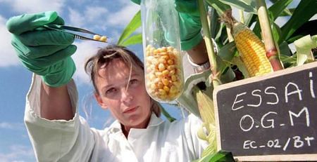OGM stériliseront l'humanité au bout de 3 générations