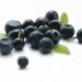 baie acai bio antioxydant fruit maigrir poudre pure perte poids superfruit vente biologique agoji