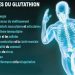 Le gluthation