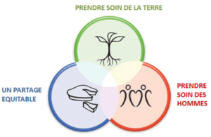 principes permaculture 2