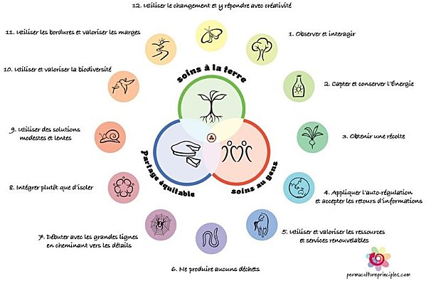 Les 12 principes de la permaculture