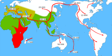 Expansion de l'homo sapiens à partir de l'Afrique