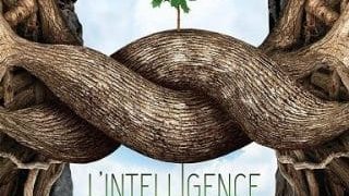 Inteligencia del árbol