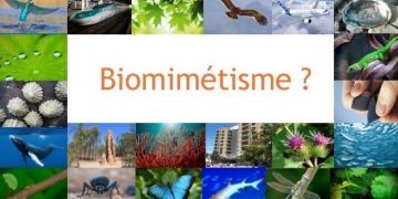 gala icam 2017 confrence sur le biomimetisme 6 638
