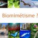 mkutano wa gala icam 2017 kuhusu biomimicry 6