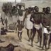 Convoi d'esclaves en Afrique  Peinture anonyme apportee par l'association internationale africaine pour l'exposition de 1878 Paris, Musee du quai Branly
