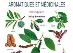 Piante aromatiche e medicinali - Specie 700