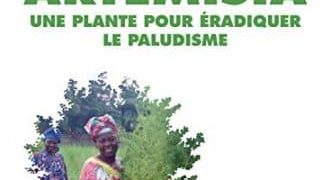 Artemisia: Une plante accessible à tous pour éradiquer le paludisme